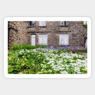 Wild Garlic And Bluebells Sticker